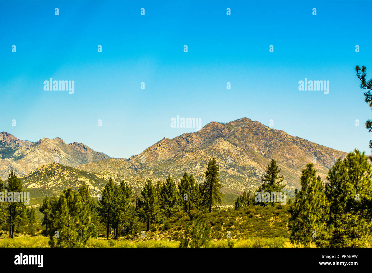San Bernardino Mountains of Southern California Stock Photo Alamy