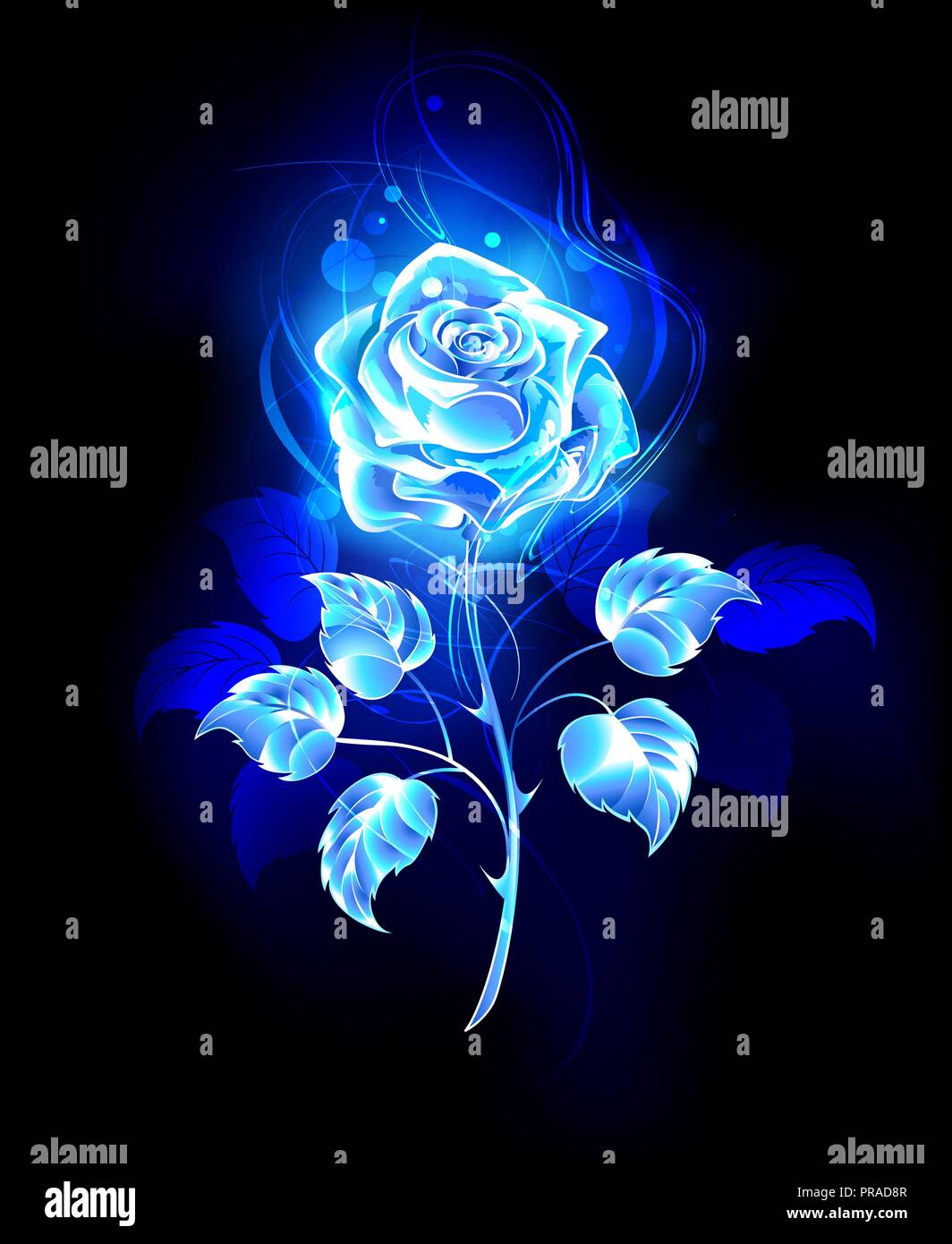 Blooming, abstract rose from blue flame on black background. Stock Vector