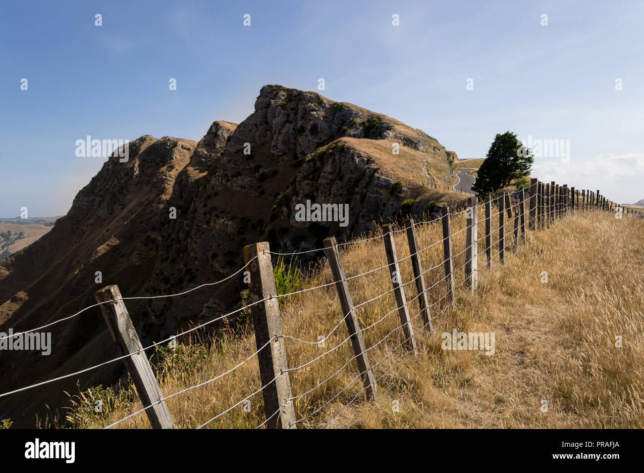 Napier, New Zealand. Dry grass on Te Mata Peak Stock Photo