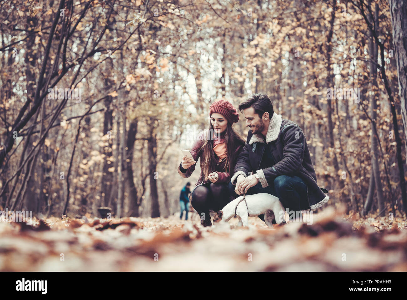 Couple in fall having walk with dog in a park Stock Photo - Alamy