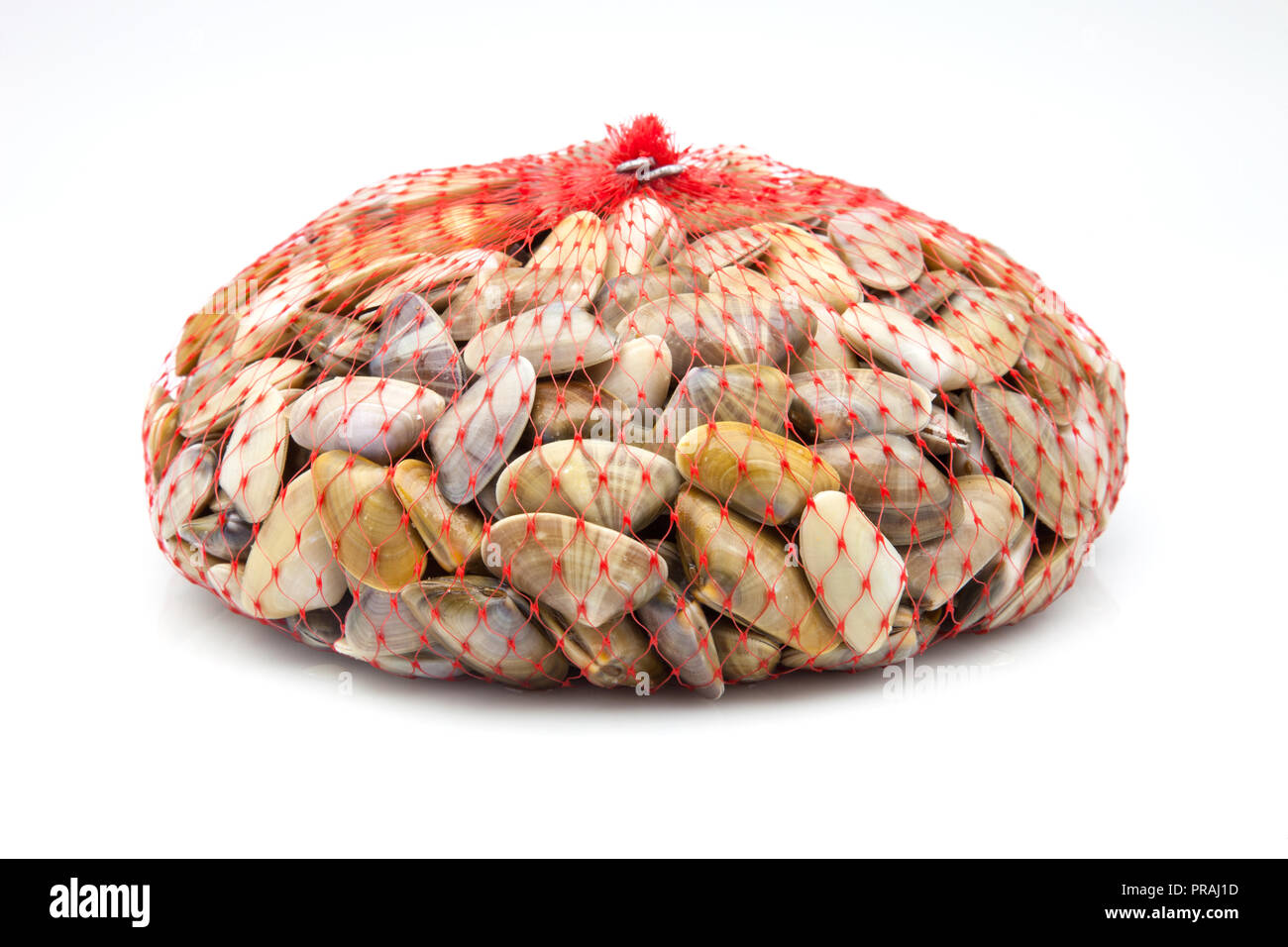 Group of clams hires stock photography and images Alamy