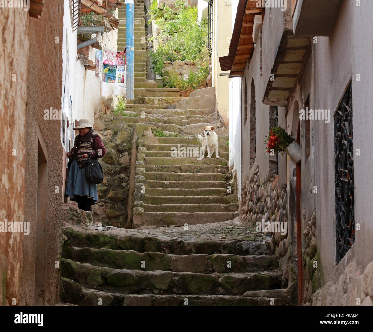 woman entering her home and dog standing on steps along a hillside alley Stock Photo