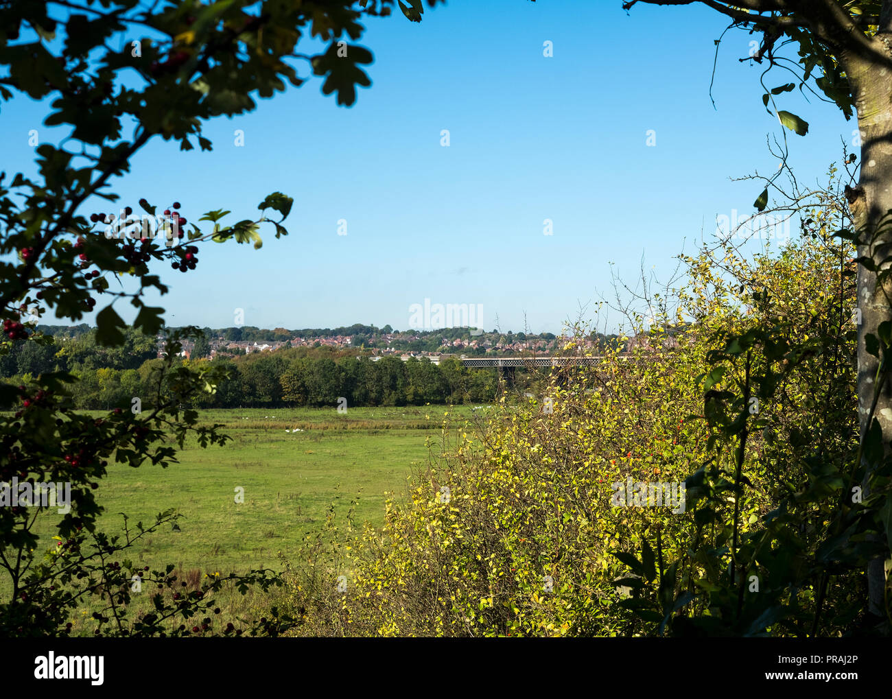 Bennerley viaduct, a wrought iron Victorian era railway bridge spanning