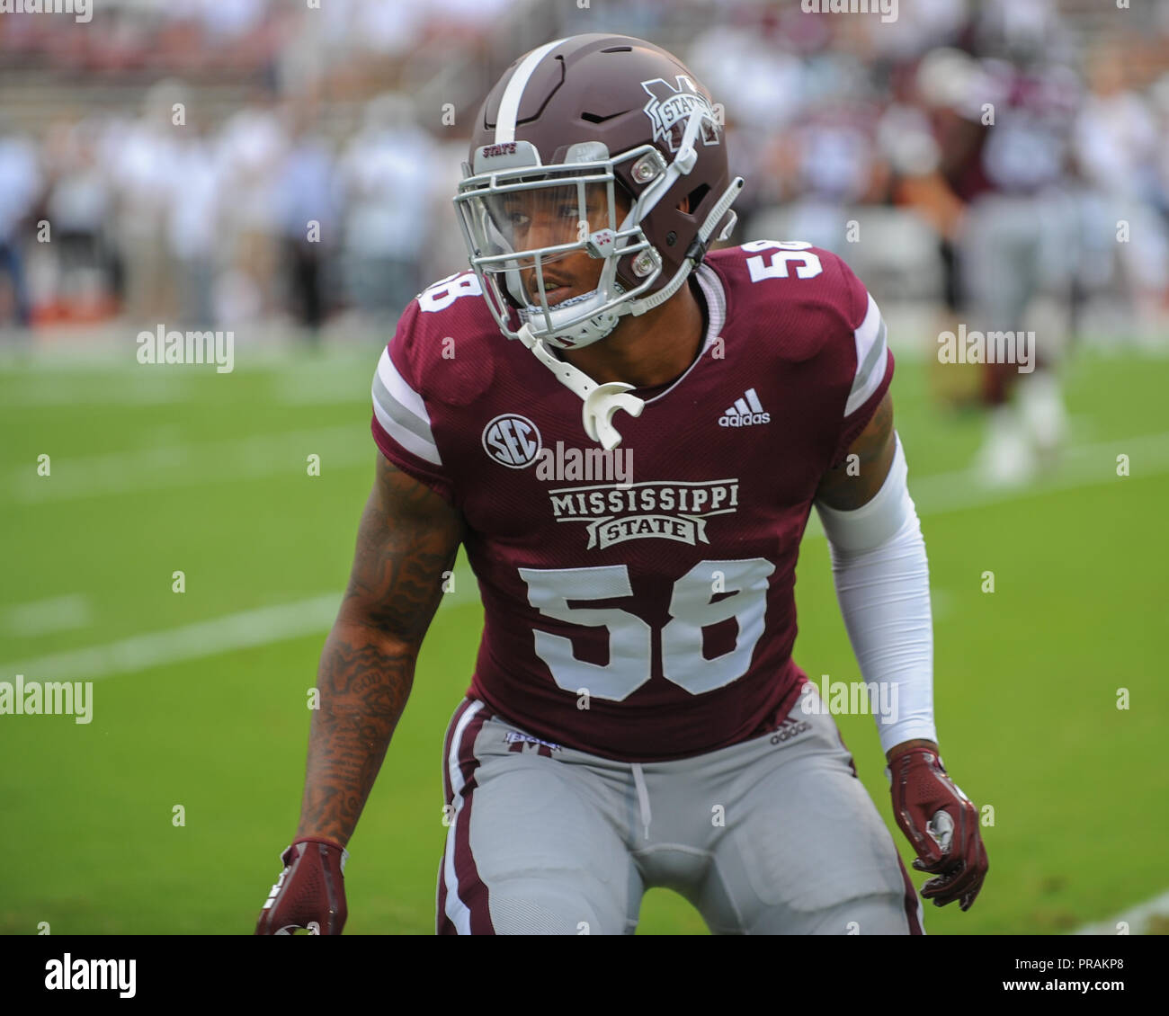 Starkville, MS, USA. 29th Sep, 2018. MSU LB, TYLER DUNNING (58), down and ready for action, during NCAA football action at Davis Wade Stadium in Starkville, MS. Florida defeated Mississippi State, 13-6. Kevin Langley/CSM/Alamy Live News Stock Photo