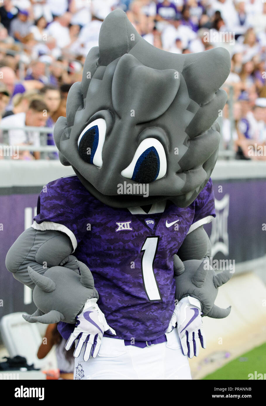 Waco, Texas, USA. 29th Sep, 2018. TCU Horned Frogs mascot during the 1st half of the NCAA Football game between the Iowa State Cyclones and the TCU Horned Frogs at Amon G. Carter in Waco, Texas. Matthew Lynch/CSM/Alamy Live News Stock Photo