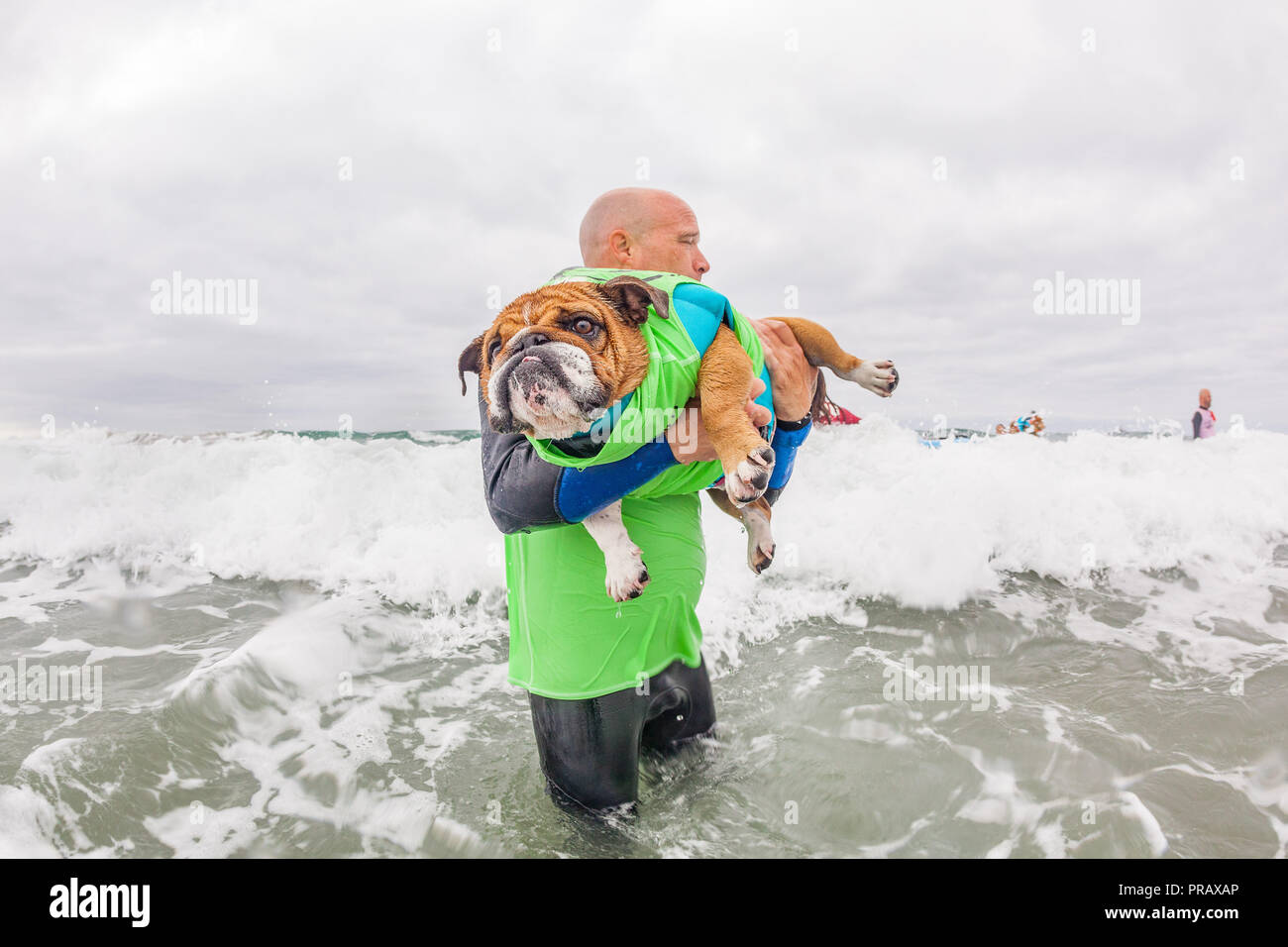 Hunnington Beach, CA, USA. 29th Sep, 2018. Surfcity Surfdog competition. The McKenna Subaru Surf City Surf DogÂ¨, the world-famous premier event on the dog surfing circuit is held annually in late September in Surf City USA. The event brings together the community, surfers, dog lovers, families & pets for a day of fun and fundraising at one of Southern California's most pristine beaches - Huntington Dog Beach! Credit: Daren Fentiman/ZUMA Wire/Alamy Live News Stock Photo