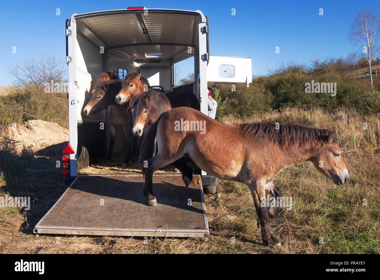 Acclimatisation hi-res stock photography and images - Alamy