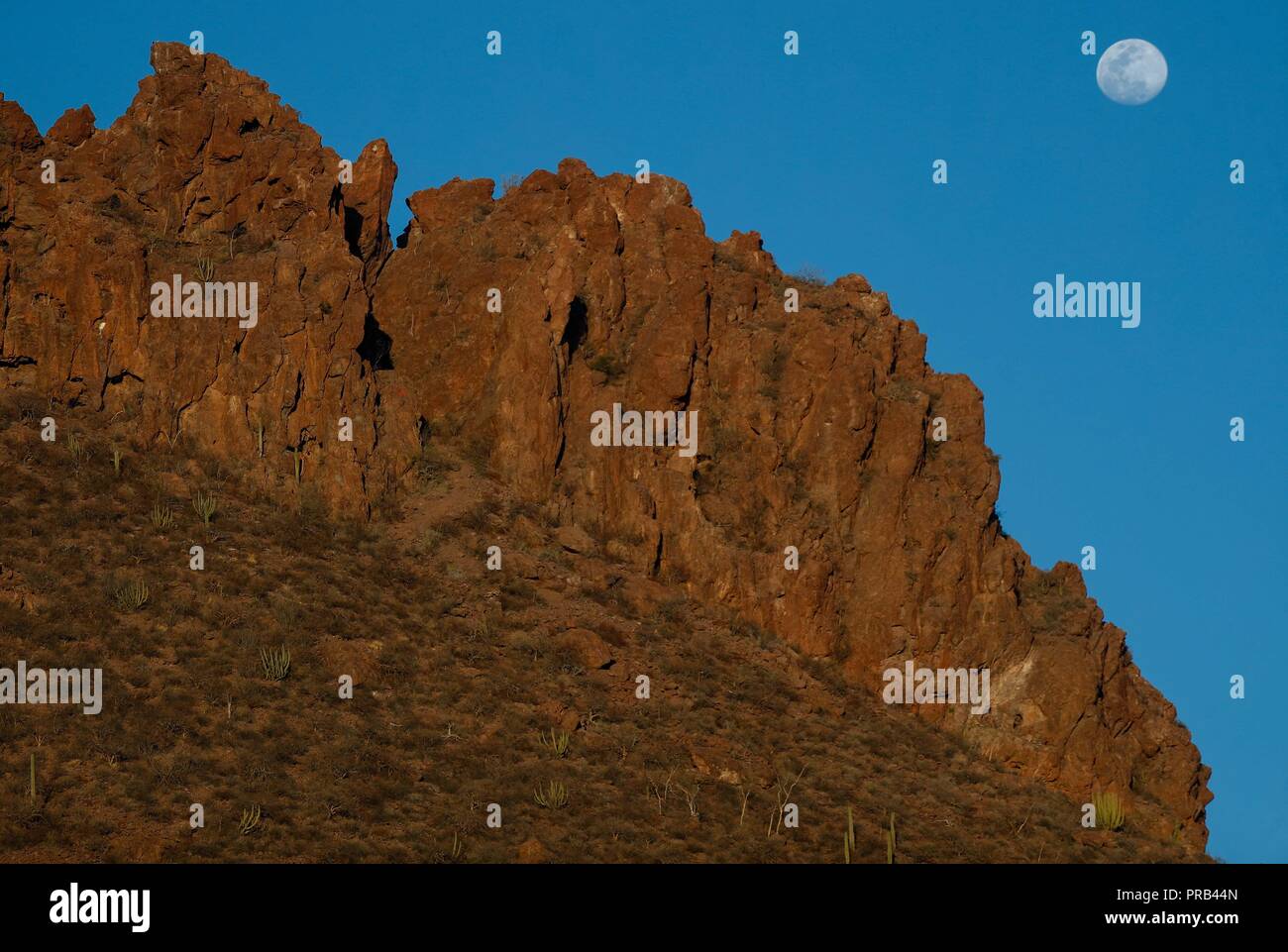 Sonora Desert Mexico High Resolution Stock Photography and Images - Alamy
