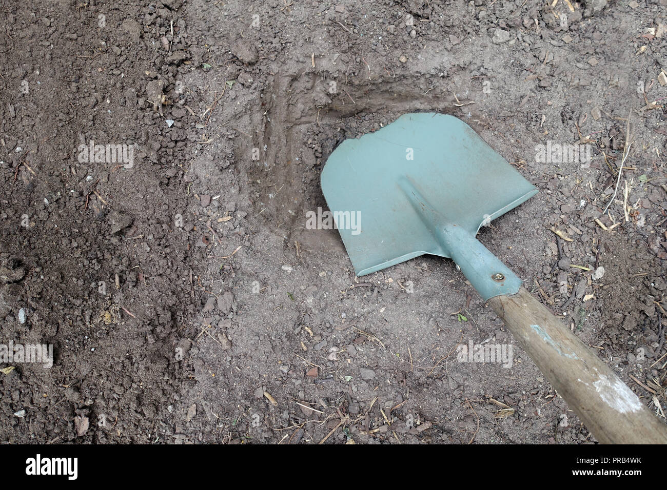 Shovel in the ground Stock Photo Alamy