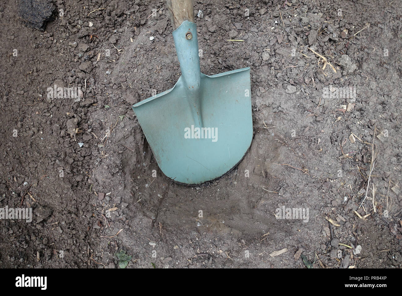 Shovel in the ground Stock Photo