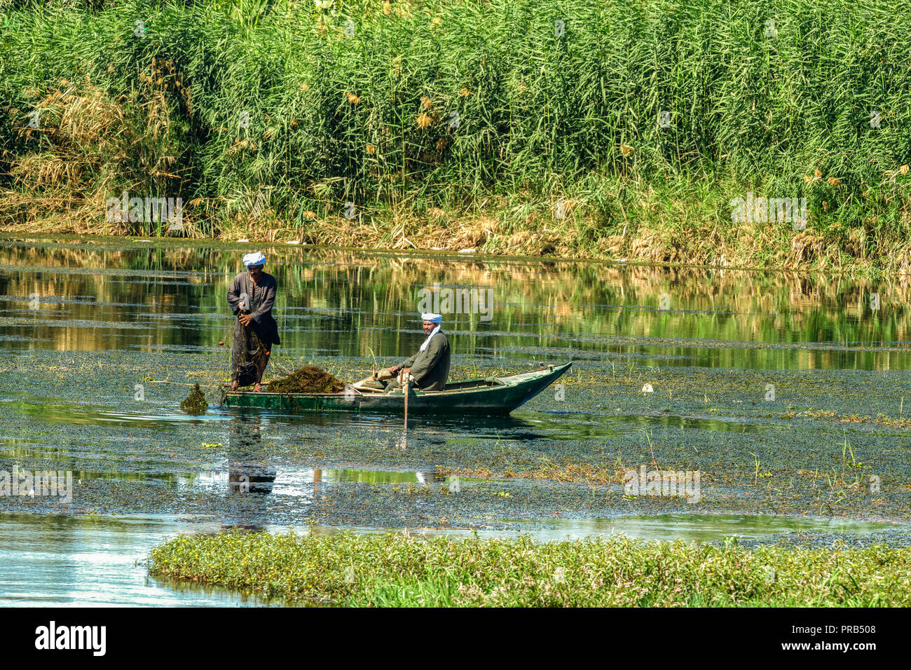Egypt fishing hi-res stock photography and images - Alamy