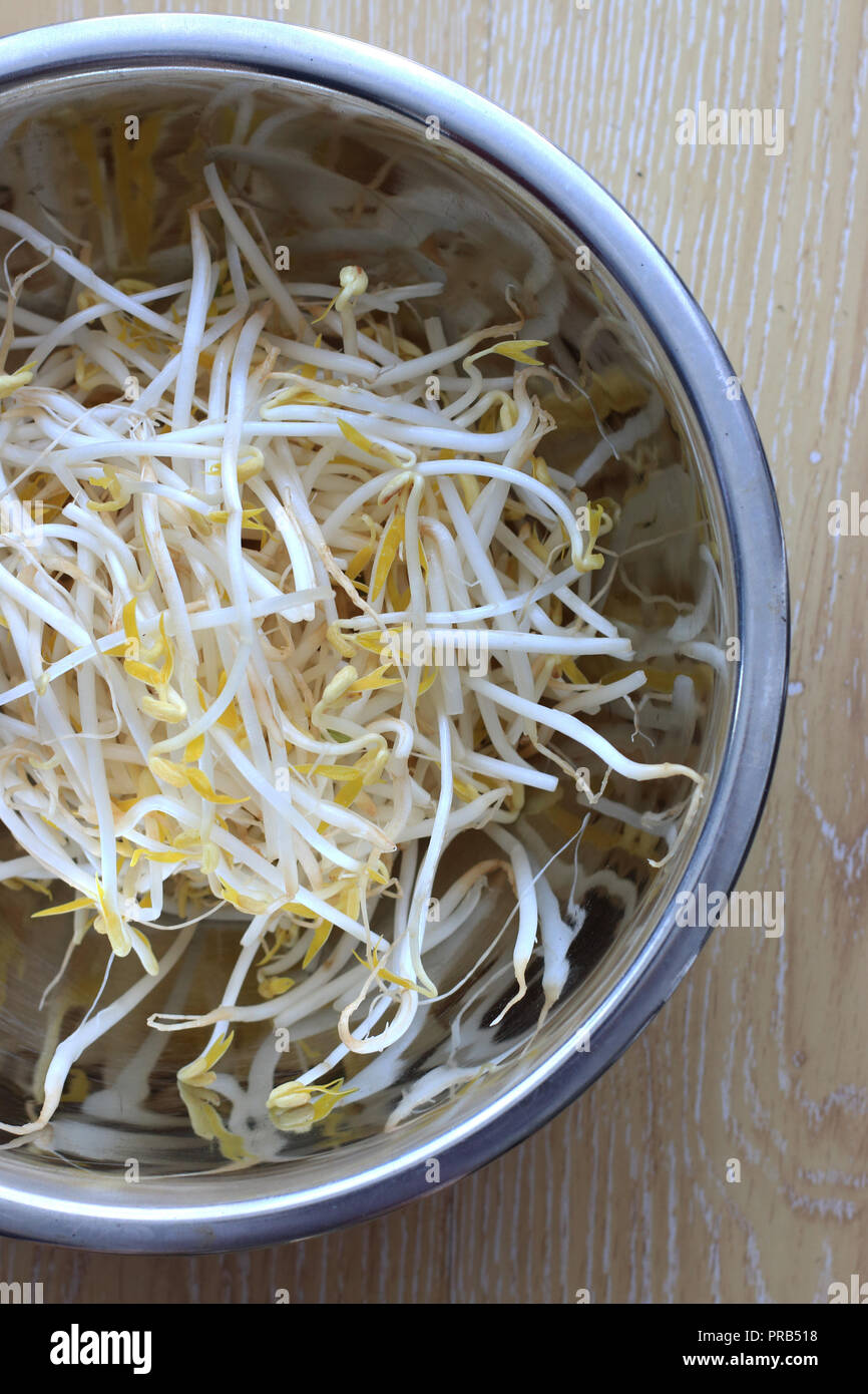 Close up of fresh mung bean sprouts in stainless steel bowl on wooden background Stock Photo