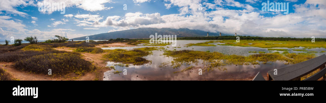 Kealia Coastal Boardwalk - Island of Maui, Hawaii, United States. Stock Photo