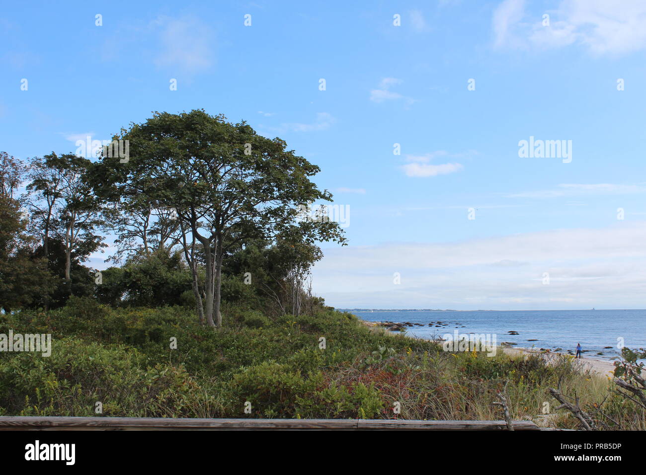 Peaceful day at beach hi-res stock photography and images - Alamy