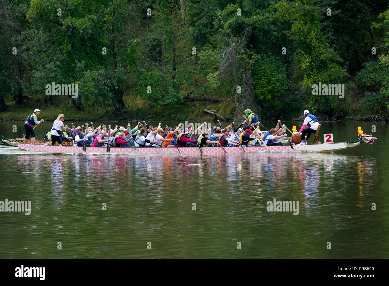 Dragon Boat Race, Pittsburgh Dragonboat Festival 2018, Pittsburgh, Pennsylvania, USA Stock Photo