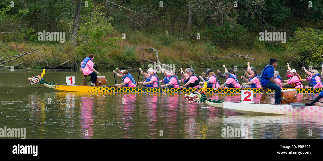Dragon Boat Race, Pittsburgh Dragonboat Festival 2018, Pittsburgh, Pennsylvania, USA Stock Photo