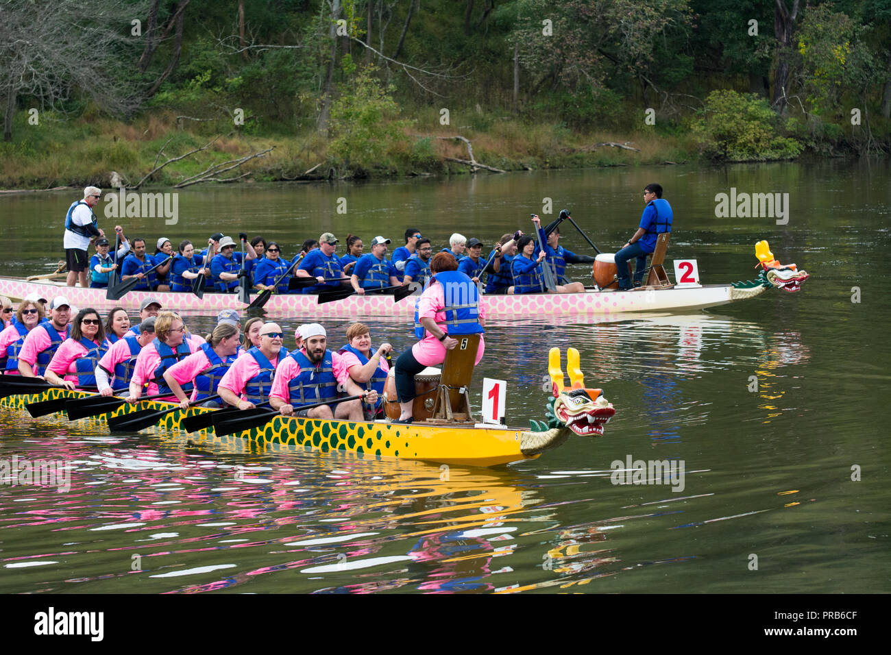 Dragon Boat Race, Pittsburgh Dragonboat Festival 2018, Pittsburgh, Pennsylvania, USA Stock Photo
