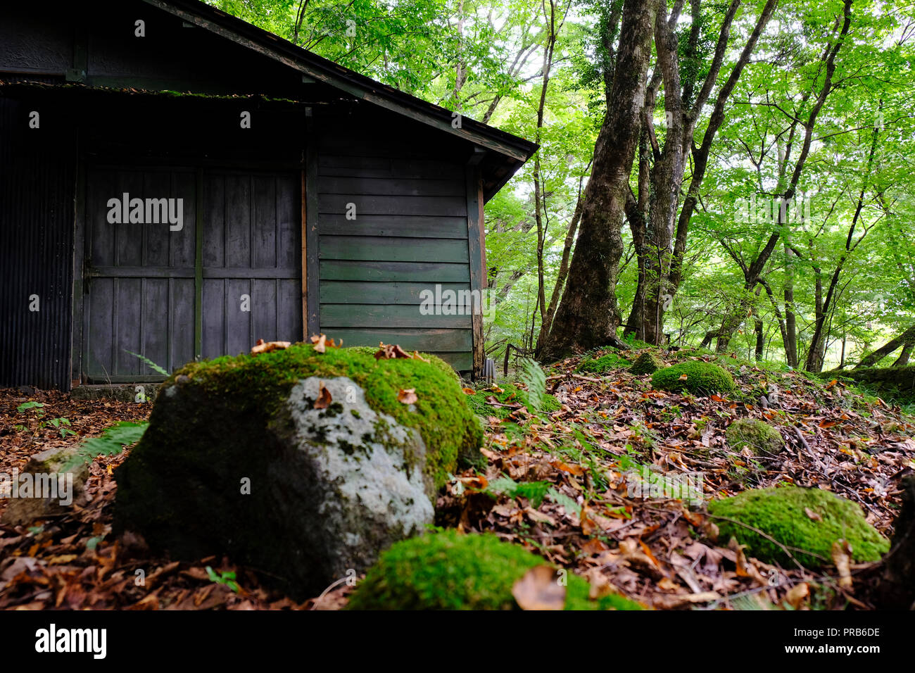Secluded Cabin Stock Photos Secluded Cabin Stock Images Alamy