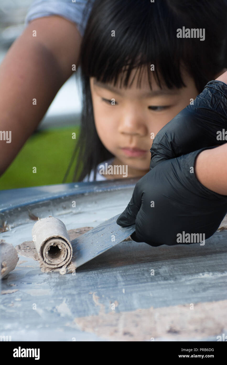 Rolled ice cream is a frozen dessert that originated in Southeast Asia
