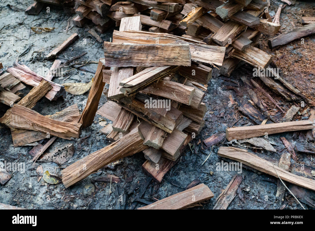 A pile of firewood on the ground. Freshly chopped wooden logs. Stock Photo