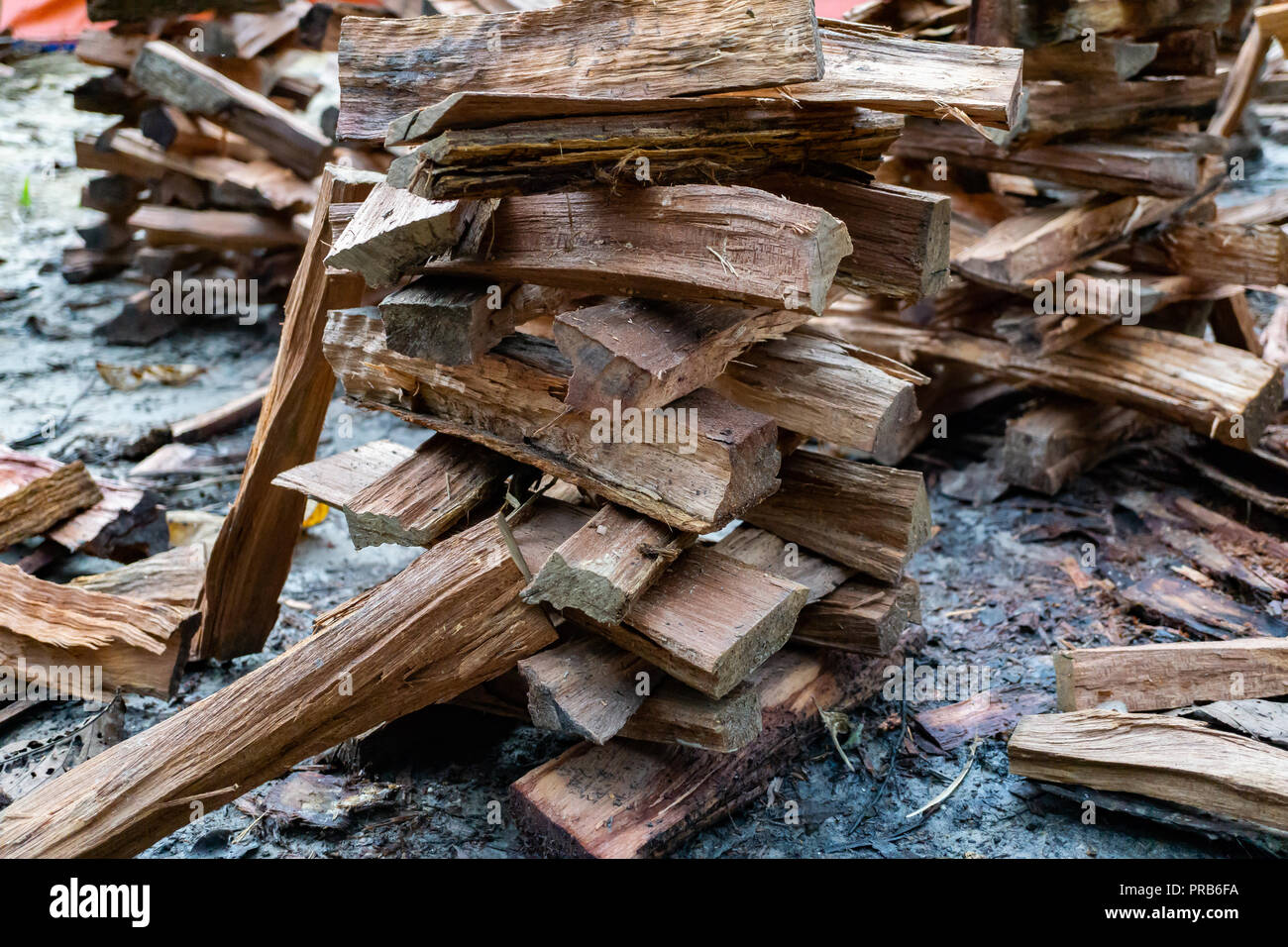 A pile of firewood on the ground. Freshly chopped wooden logs. Stock Photo