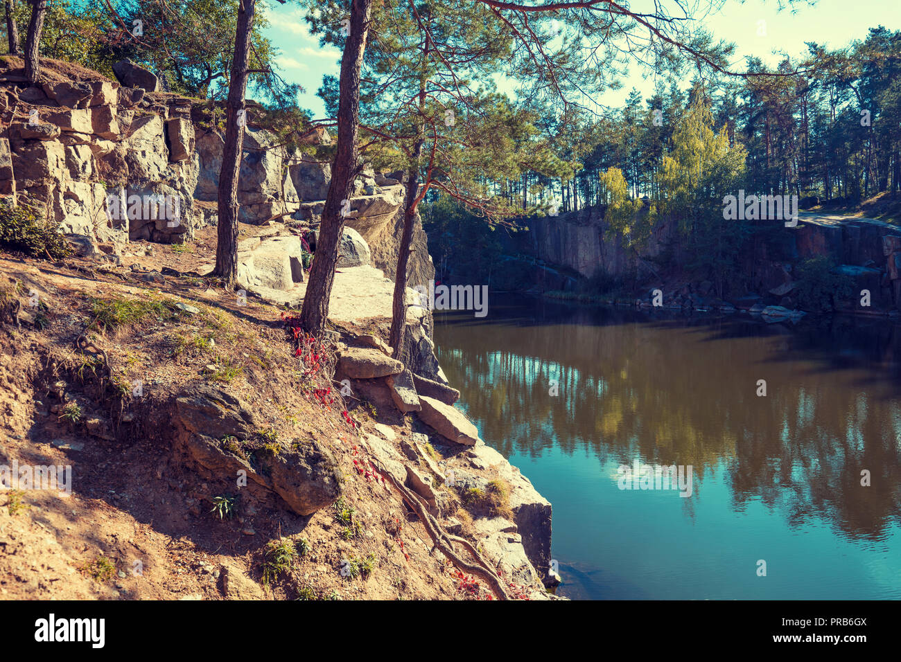 Rocky shore tree hi-res stock photography and images - Alamy