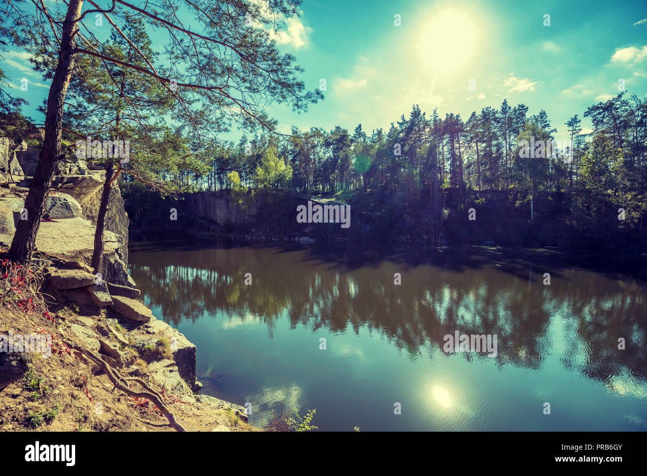 Rocky shore tree hi-res stock photography and images - Alamy