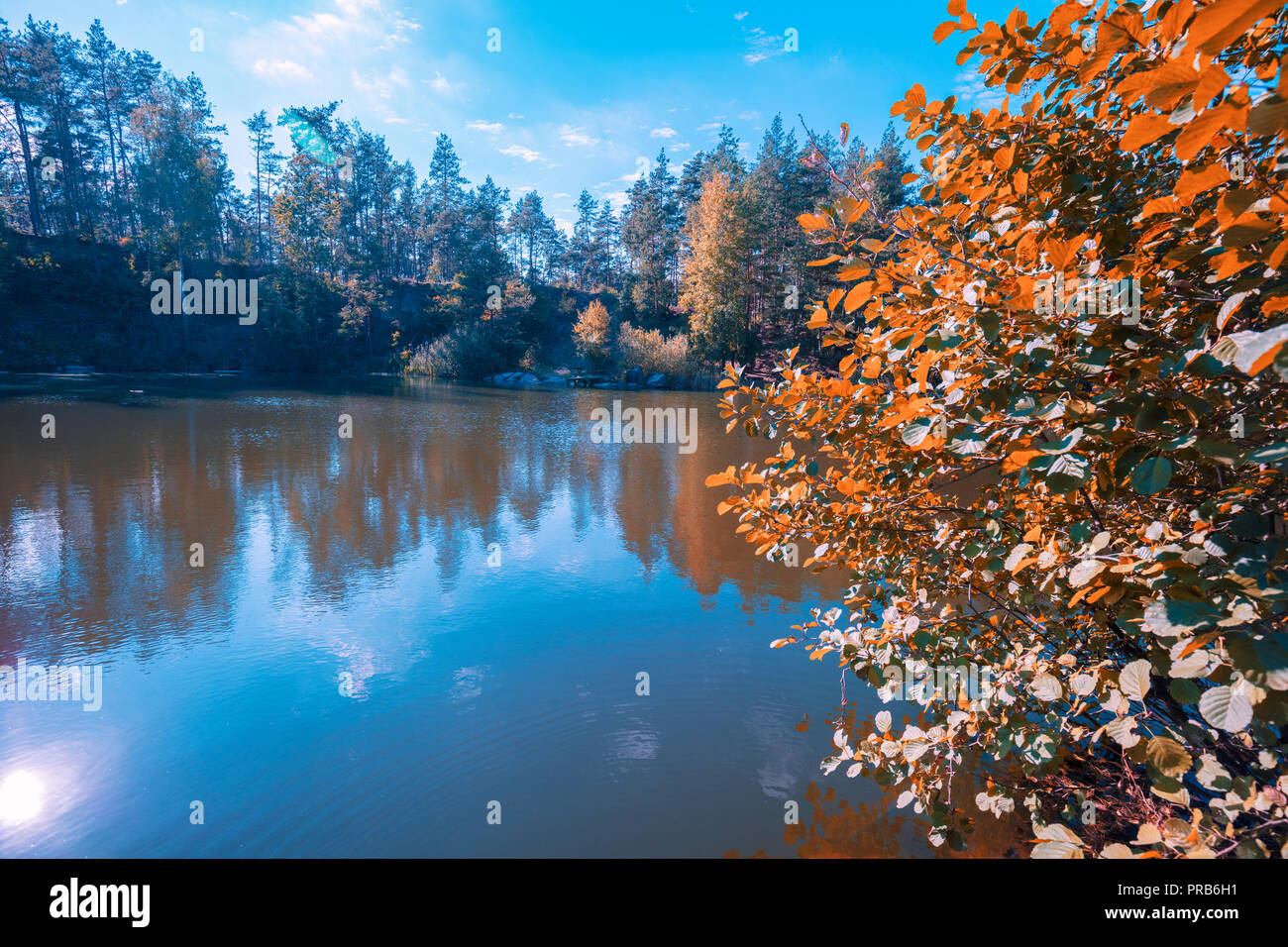 Shore with autumn forest hi-res stock photography and images - Alamy
