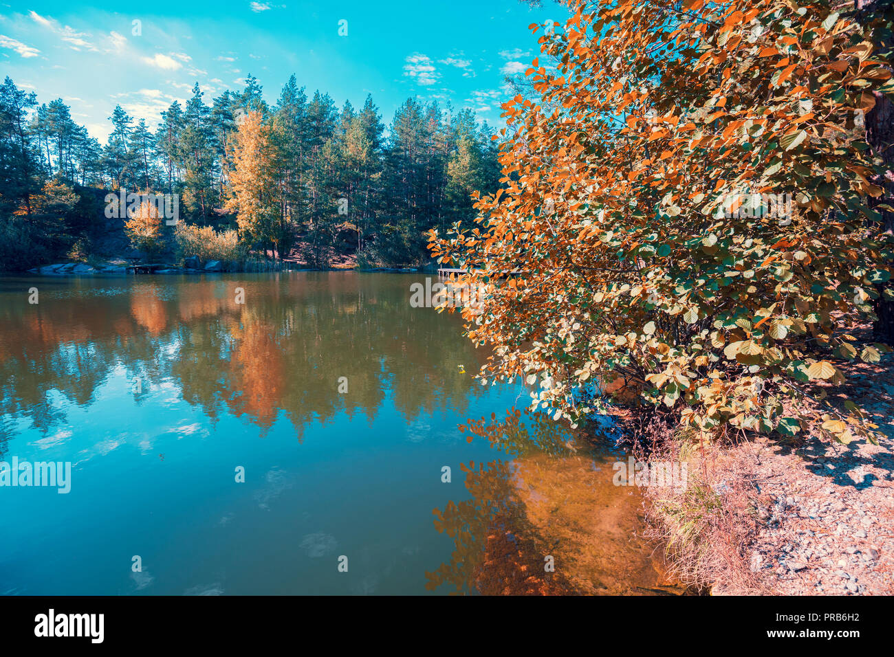 Shore with autumn forest hi-res stock photography and images - Alamy