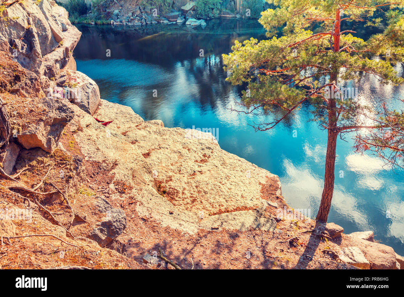 Rocky shore tree hi-res stock photography and images - Alamy