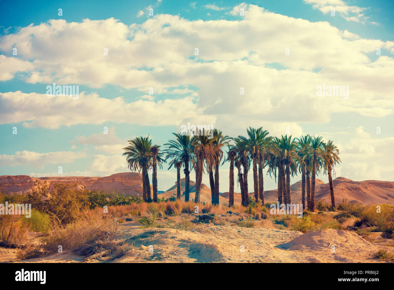 Palm Desert Escorts