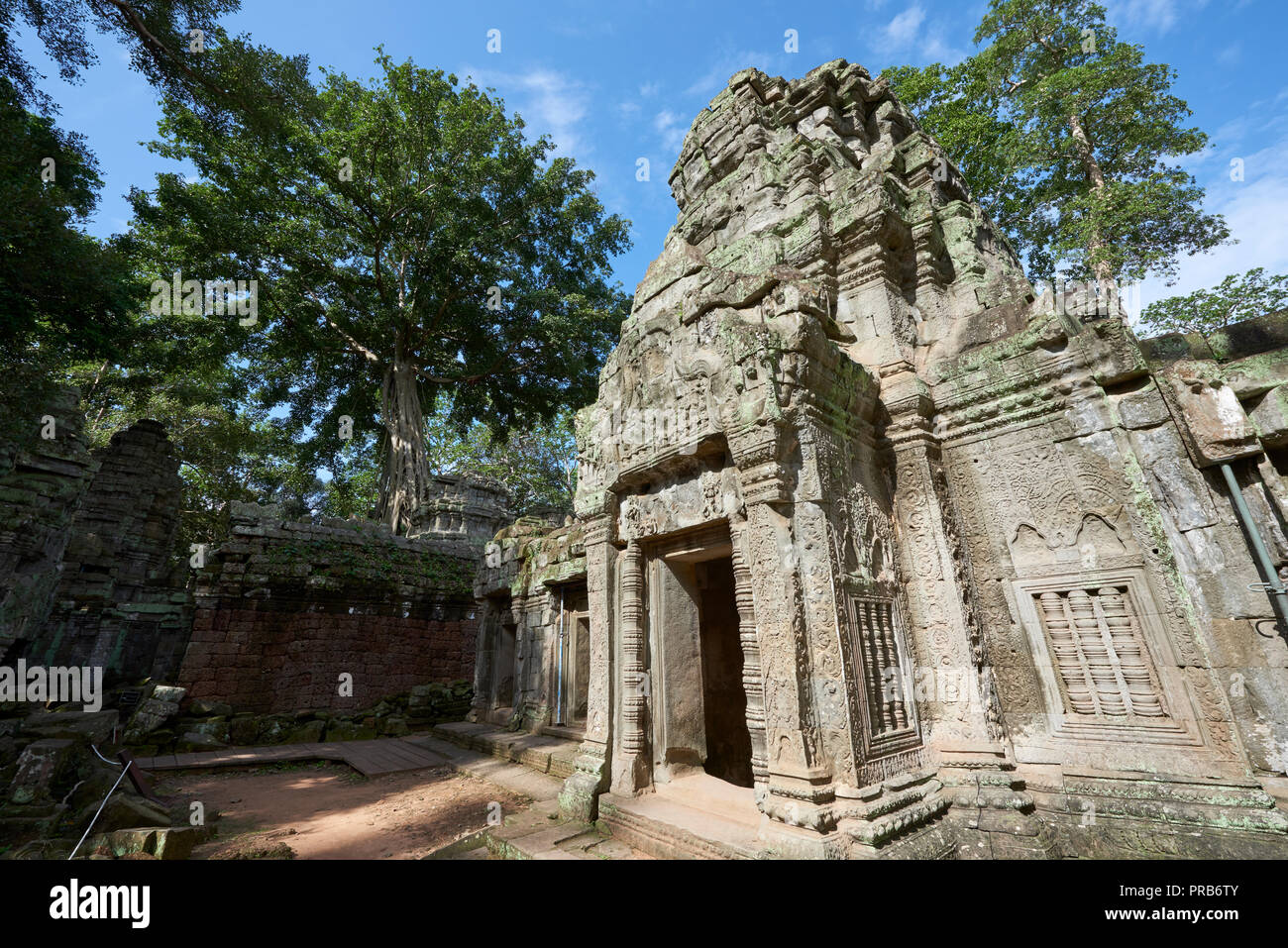 Ta Prohm ruins in Angkor Wat. The Angkor Wat complex, Built during the Khmer Empire age, located in Siem Reap, Cambodia, is the largest religious monu Stock Photo