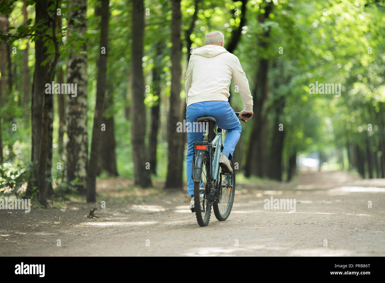 Person riding bicycle on road rear view hi-res stock photography and ...