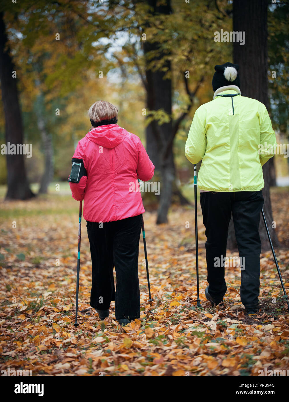 Two puffer jacket dressed elderly women are involved in Scandinavian walking  in the park in off-road in the middle of the trees. Back view. Wide shot  Stock Photo - Alamy