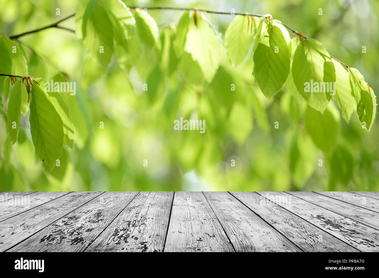 Spring background table Stock Photo - Alamy