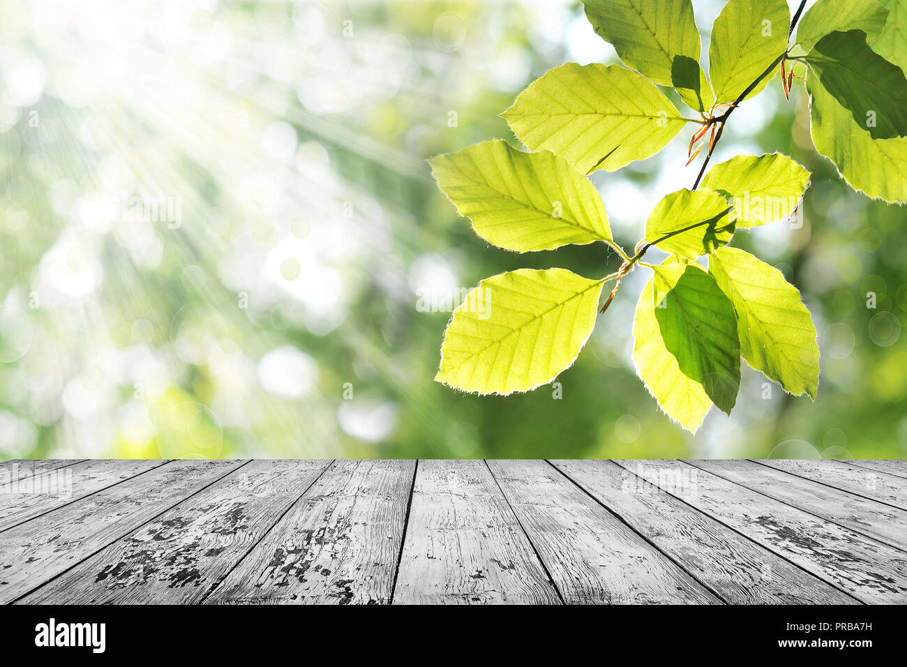 Spring background table Stock Photo - Alamy