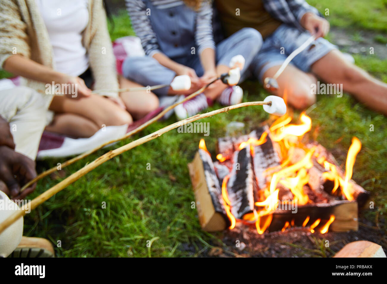 Several campers holding sticks with marshmellows over campfire while sitting around it Stock Photo