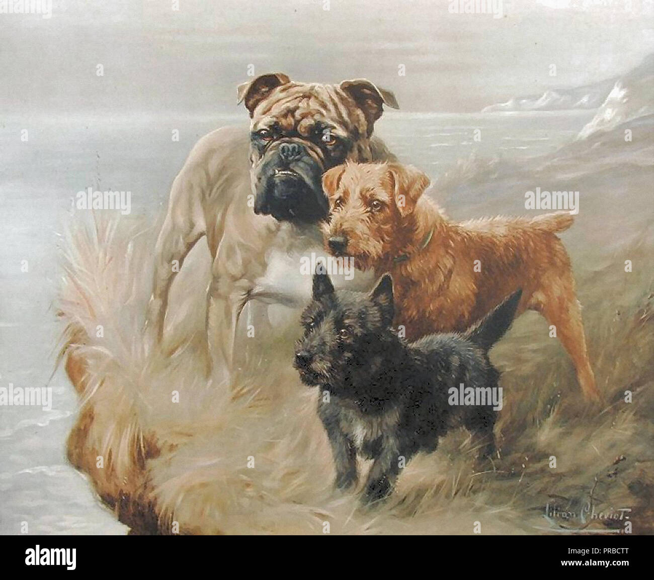 Lilian cheviot hires stock photography and images Alamy