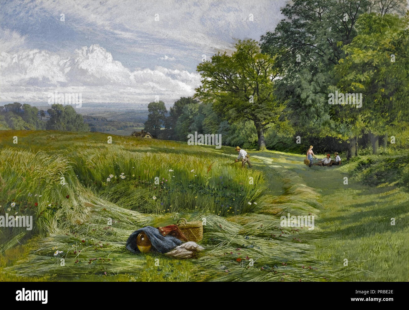 Harvest Time near Holmbury Hill Surrey G V Cole Print