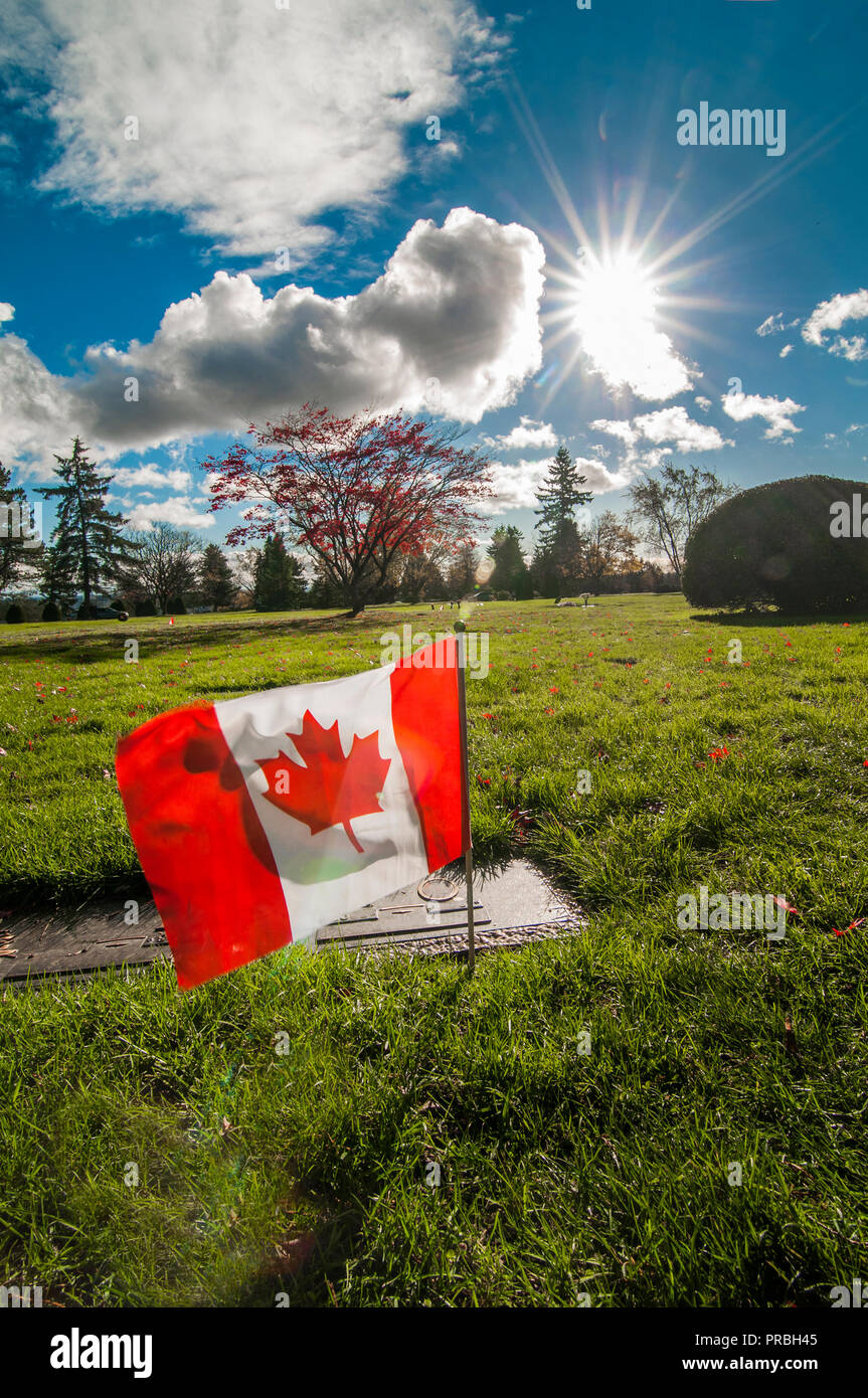 Memorial day in CANADA Stock Photo Alamy