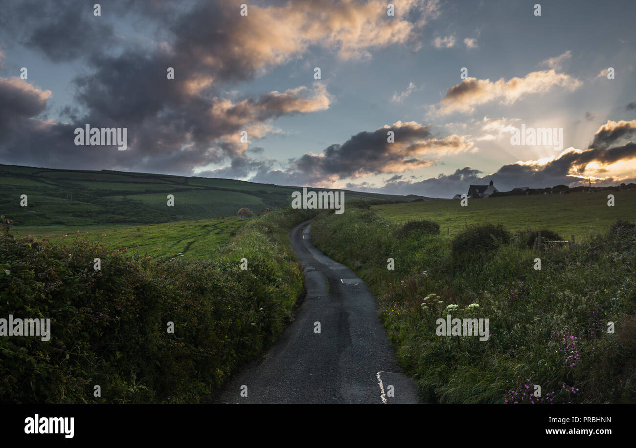 Narrow asphalt road across green farming hills in the coast of Newgale in Wales. UK Stock Photo