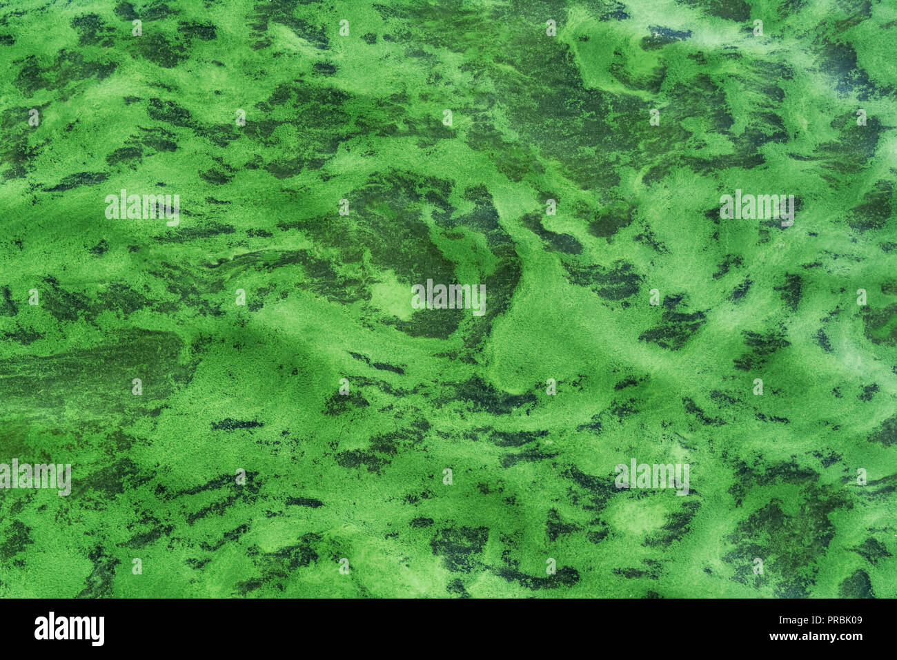 Natural water body hi-res stock photography and images - Alamy