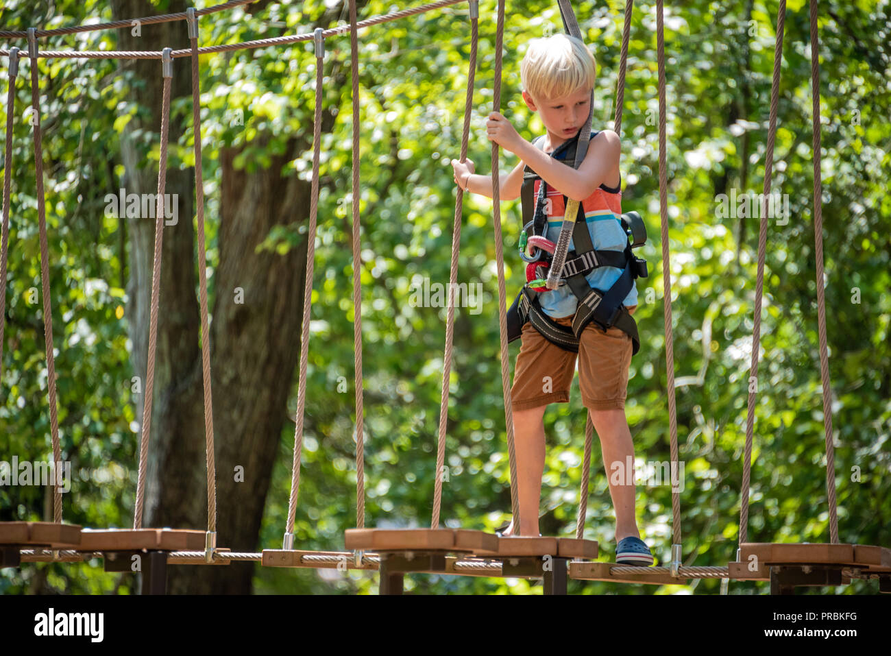 Young boy navigating the Treetop Trail high ropes at Zoo Atlanta near downtown Atlanta, Georgia. (USA) Stock Photo