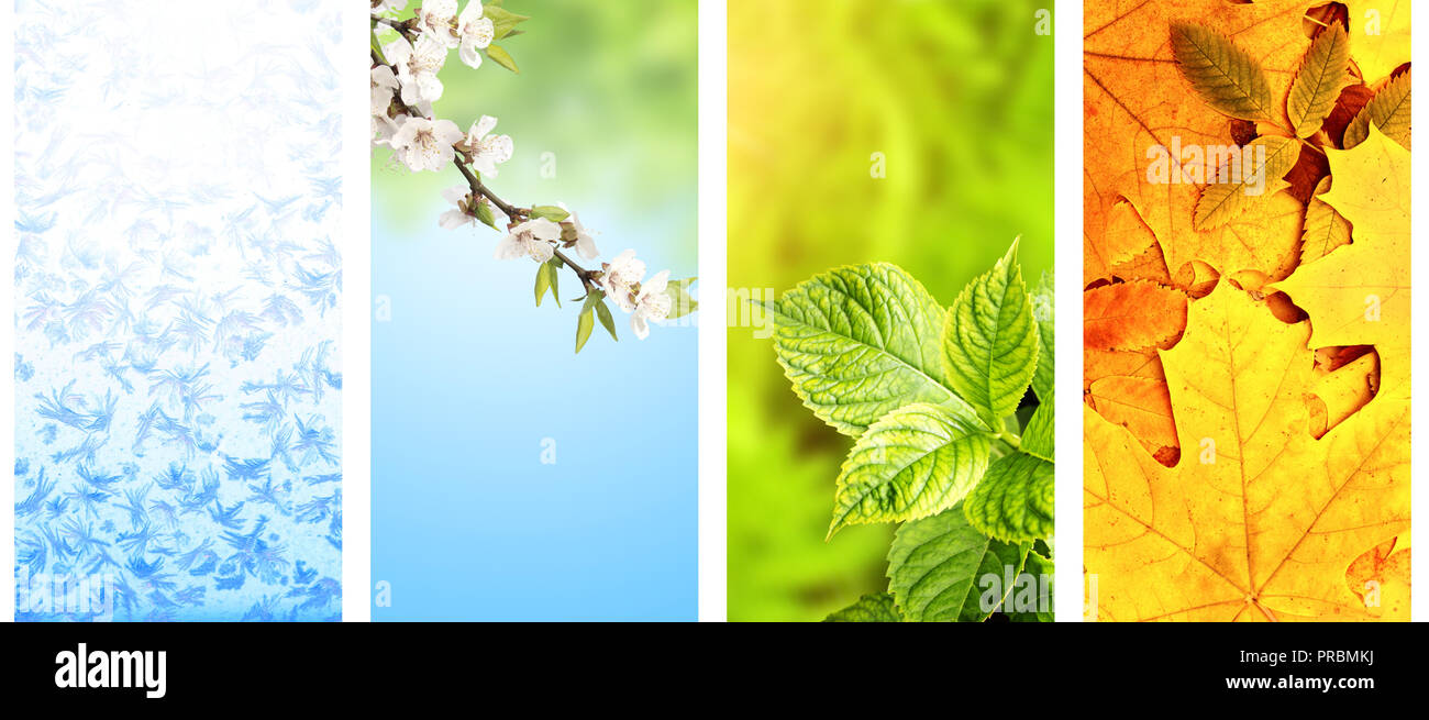 Four seasons of year. Set of vertical nature banners with winter ...