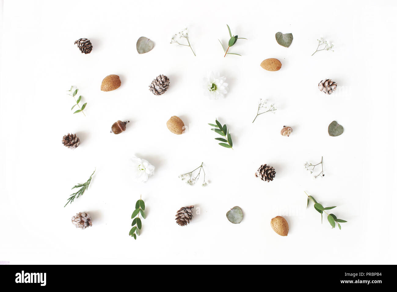 Christmas floral pattern. Winter composition of eucalyptus leaves and branches, larch cones, almonds, chrysanthemum and baby's breath flowers on white table background. Flat lay, top view. Stock Photo