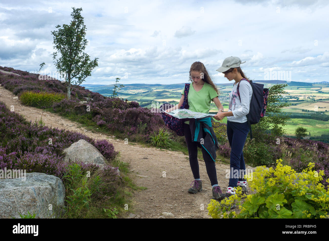 Bannachie Aberdeenshire Scotland, Map reading on the path between Oxen Craig and Mither Tap Stock Photo