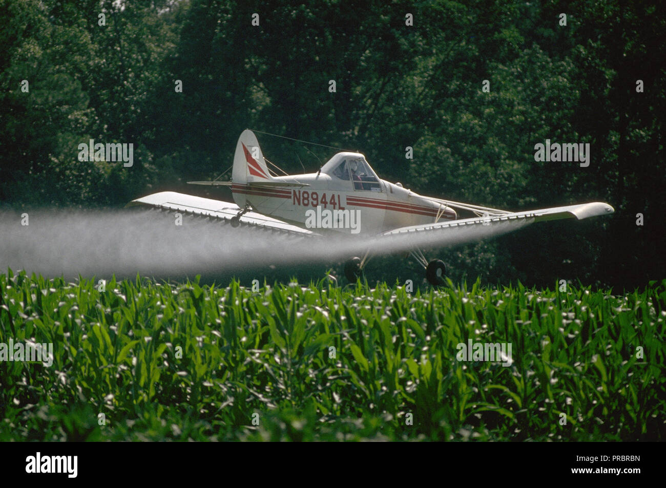 May 6, 1996 Crop dusting plane spraying a field of corn Stock Photo