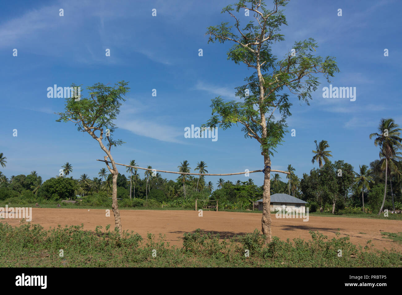 Trees grown as goal posts on a football pitch in Zanzibar. Stock Photo