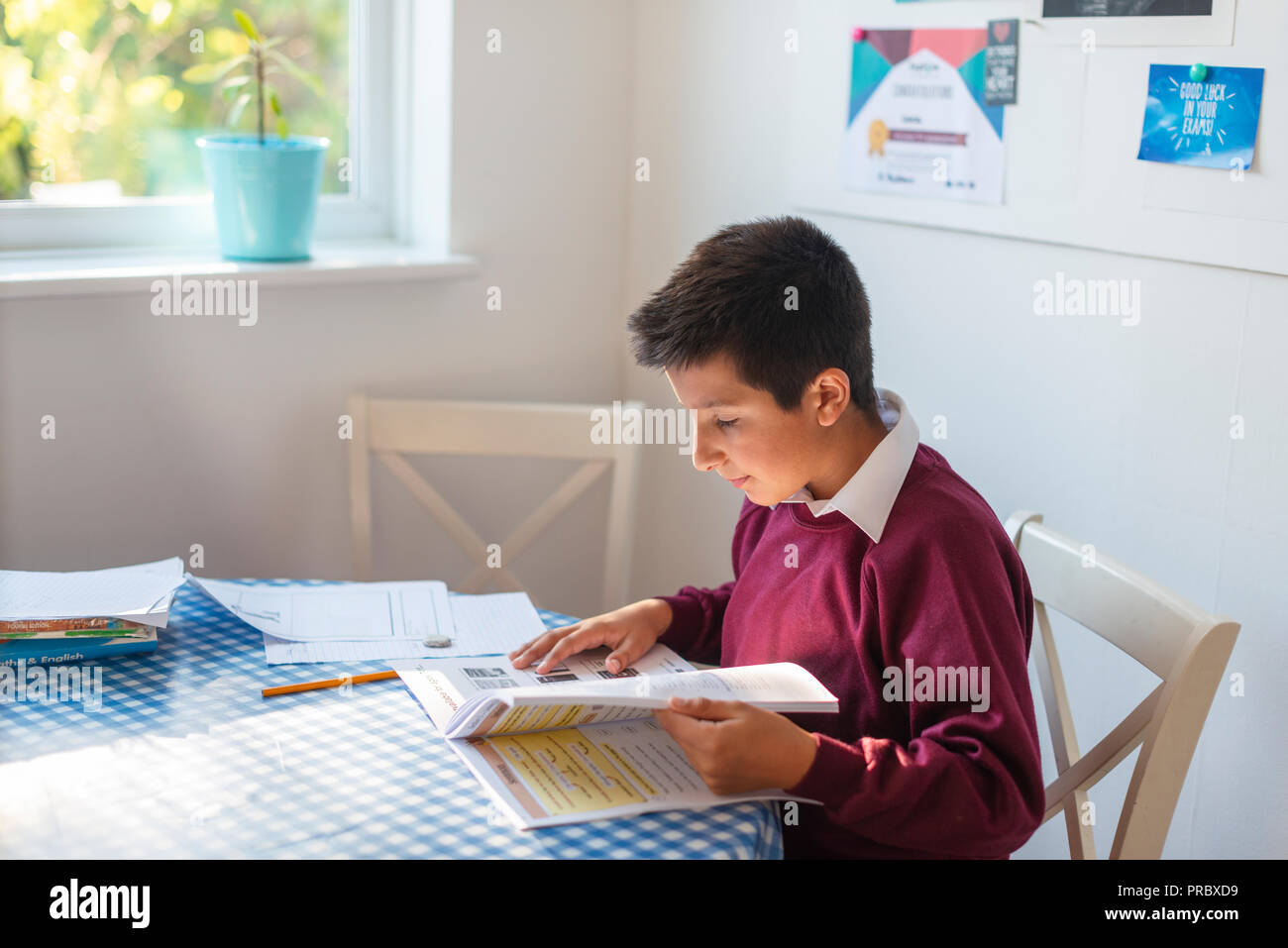 UK,Surrey-Primary school pupil works on his english homework. Stock Photo