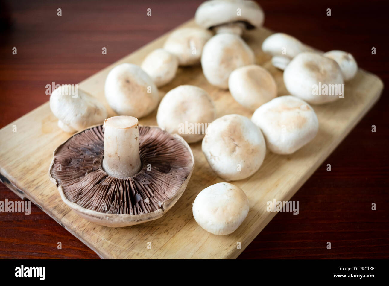 Mushrooms on a cutting board (Agaricus campestris) Stock Photo